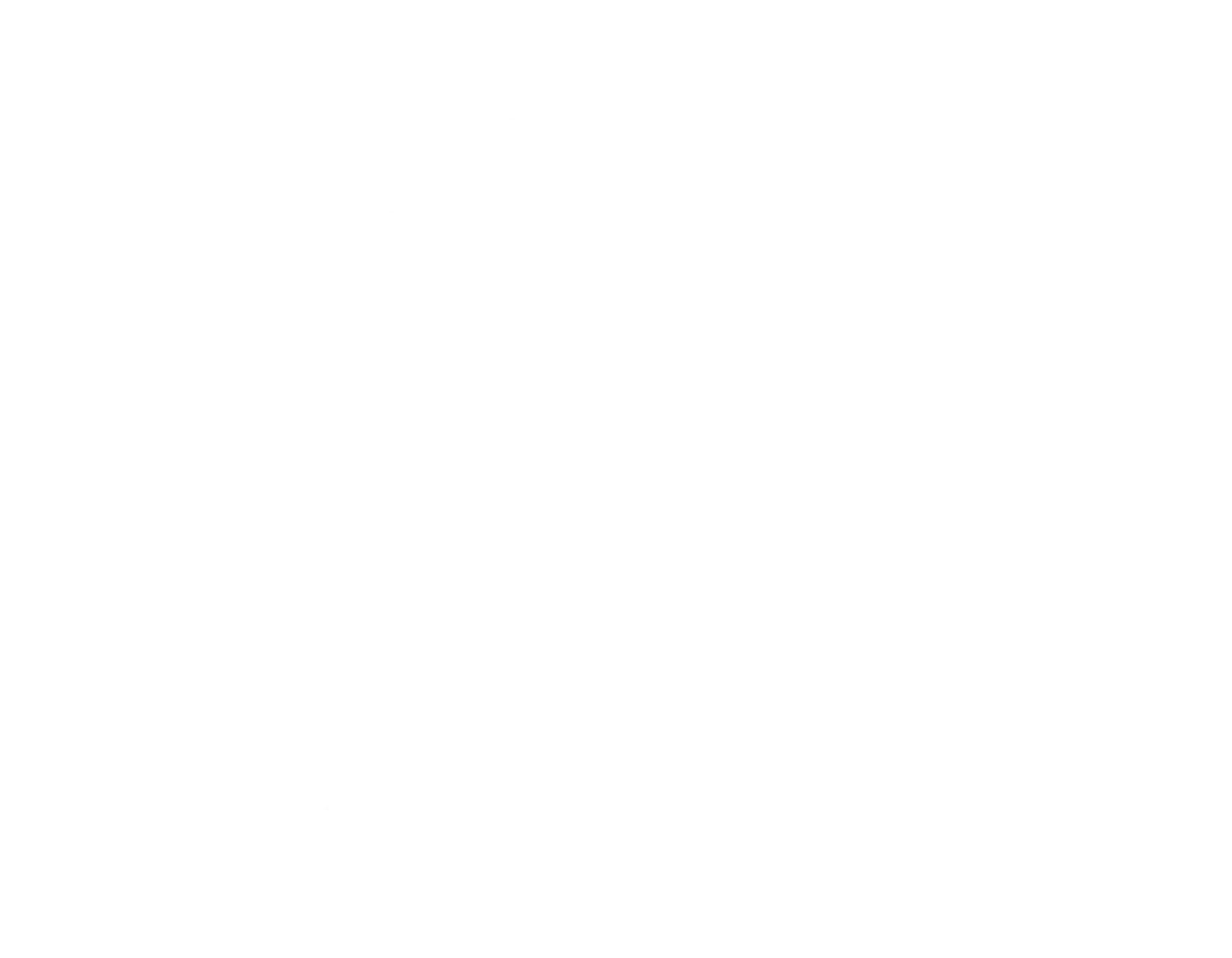 STS website logo_2